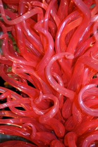 The Flame of Liberty by Dale Chihuly