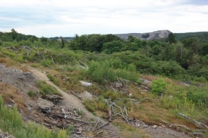 Centralia_PA-s Fumes coming from hillside near Centralia, PA