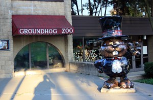 Punxsutawney Phil in the Groundhog Zoo