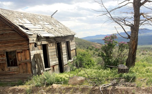 Miner's shack in Mammoth Utah