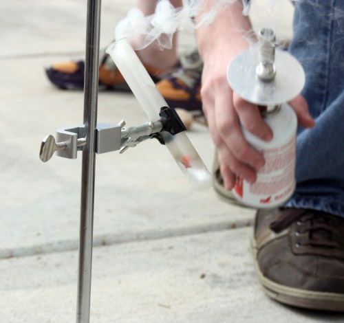 Toast_the_runt-s Toast the runt