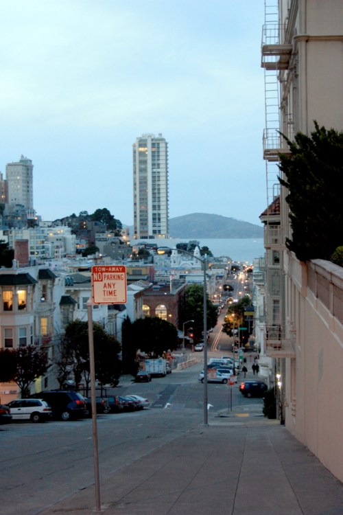 Down_to_the_Bay-s Down to the Bay