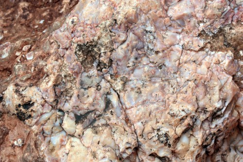 Chert-s Chert boulder on trail to Delicate Arch