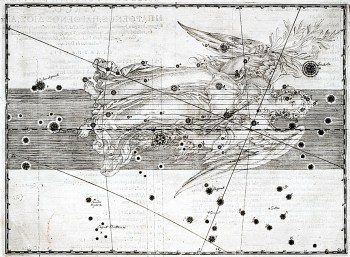 Virgo_in_Uranometria-s Virgo constellation