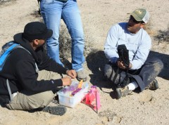 Site_1-ATP-s Sampling ATP at site 1