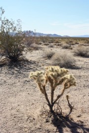 Site_1-s Test site 1