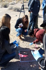 SIte_1-sampling-s Collecting soil samples
