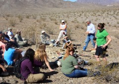 Group_at_soil_Site_1-s Soil site 1 group