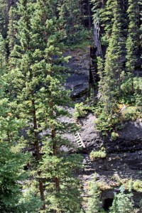 Ladders down to hole ladder to mine