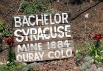 sign for bachelor mine
