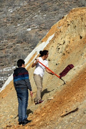 Sample at the Swansea Consolidated dump near Silver City