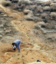 David Black taking pH readings in the middle wash draining the mine dump at Silver City.