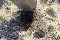 Plastic netting used by the EPA to slow down erosion on slopes, allowing native plants to grow.