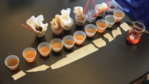 Testing for lead with sodium rhodinzonate. The blue color of the second to last sample indicates both lead and acid.