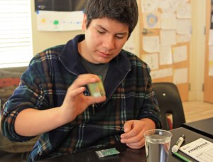 Sean tests for nitrogen in the samples