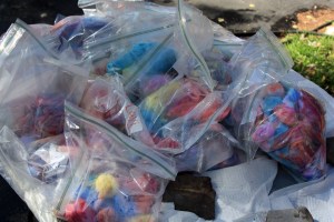 Ziploc bags full of dyed T-shirts. The dye was allowed to set before air drying.