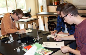 Chemistry students drawing illustrations with their own homemade ink