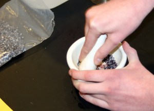 Grinding dried cochineal insects to make carmine pigment. This dye is also used in foods. Yes, you are eating bug juice.