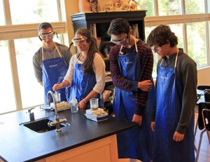 Chemistry students making ink