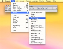 Importing the .txt file as a Text Image into Image J software