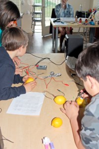 Lemon batteries demonstrated at our Science Showcase; April, 2014