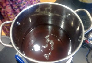 The sunflower (Black-eyed Susan) dye bath turned brown when boiled. It also grew mold over the weekend.