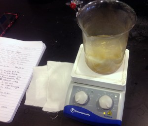 Cloth soaking in a boiling dye bath made of rabbitbrush blossoms.