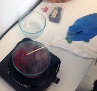 dyeing-with-cochineal