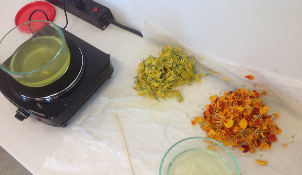rabbitbrush-and-marigolds