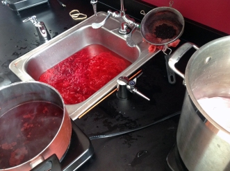 cochineal-dyeing