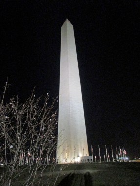 Washington Monument with cherry