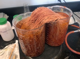Sandalwood process