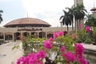 Central mosque with bougainvillea