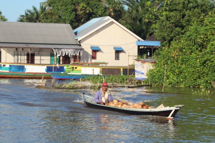 Coconuts in boat