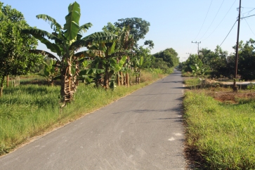 Country lane near school