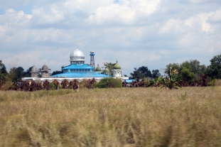 Mosque and rice field