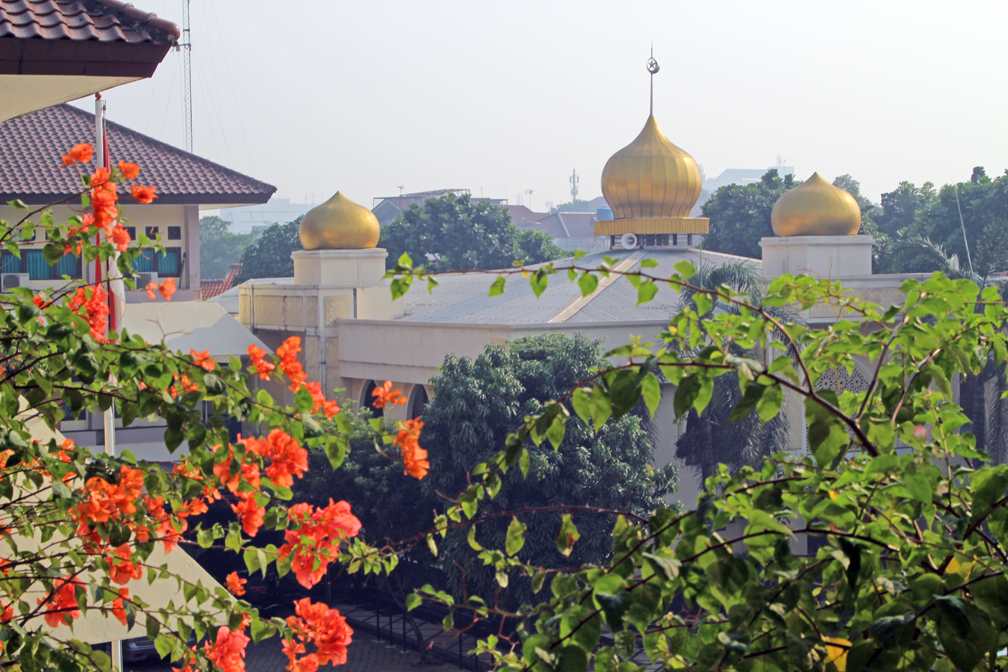 Mosque with bougainvillea