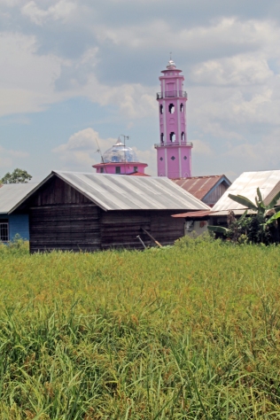 Pink mosque and rice field