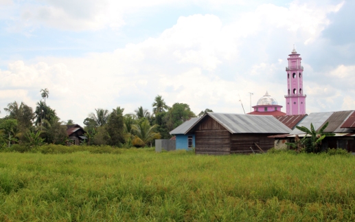 Rice field and pink mosque 2
