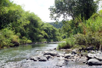 Around the river bend