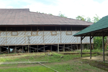 Dayak longhouse 2