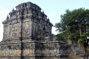 Mendot temple with banyan tree