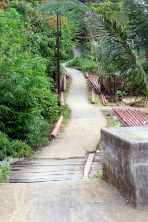 Pathway into mountains