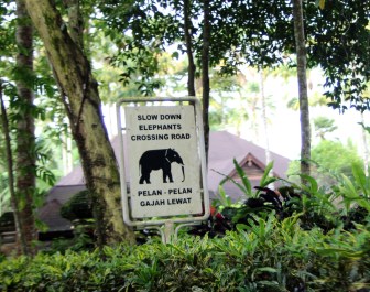 Elephant crossing sign