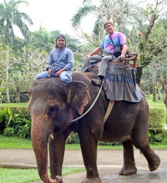 Elephant ride