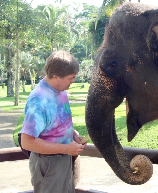 Feeding elephant