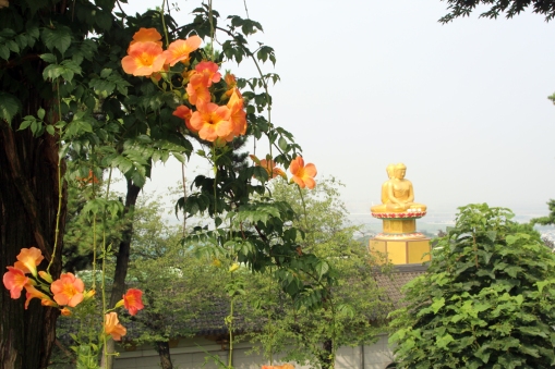 Flowers and double Buddha