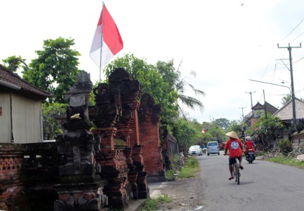 Rice farmer on bicycle