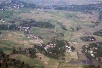 Rice fields approaching Jakarta