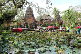 Saraswati with lillies